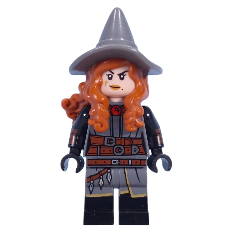 Tasha the Witch Queen — dans quels sets LEGO ? (fig-015454) | Brick Broker