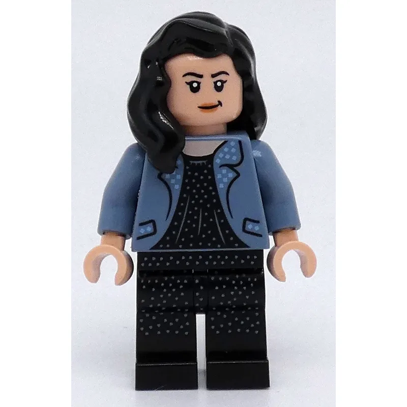 Mary Cattermole — dans quels sets LEGO ? (fig-012692) | Brick Broker