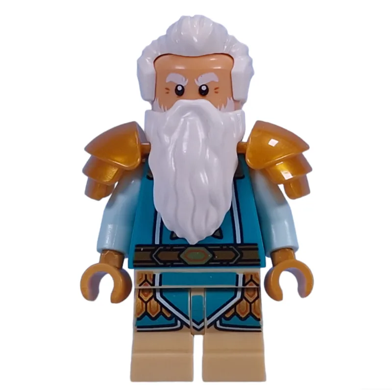 Dwarf Cleric — dans quels sets LEGO ? (fig-014847) | Brick Broker