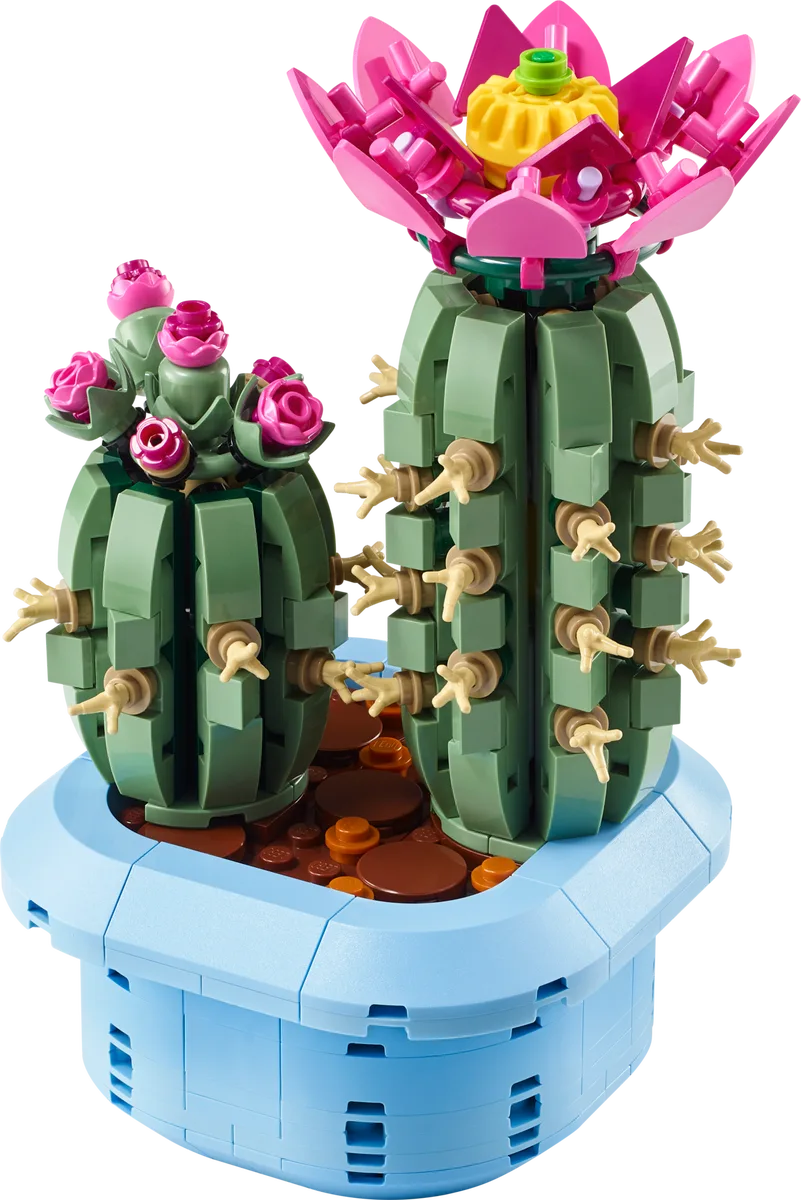 BON PLAN : -25% sur le Flowering Cactus ! | Brick Broker
