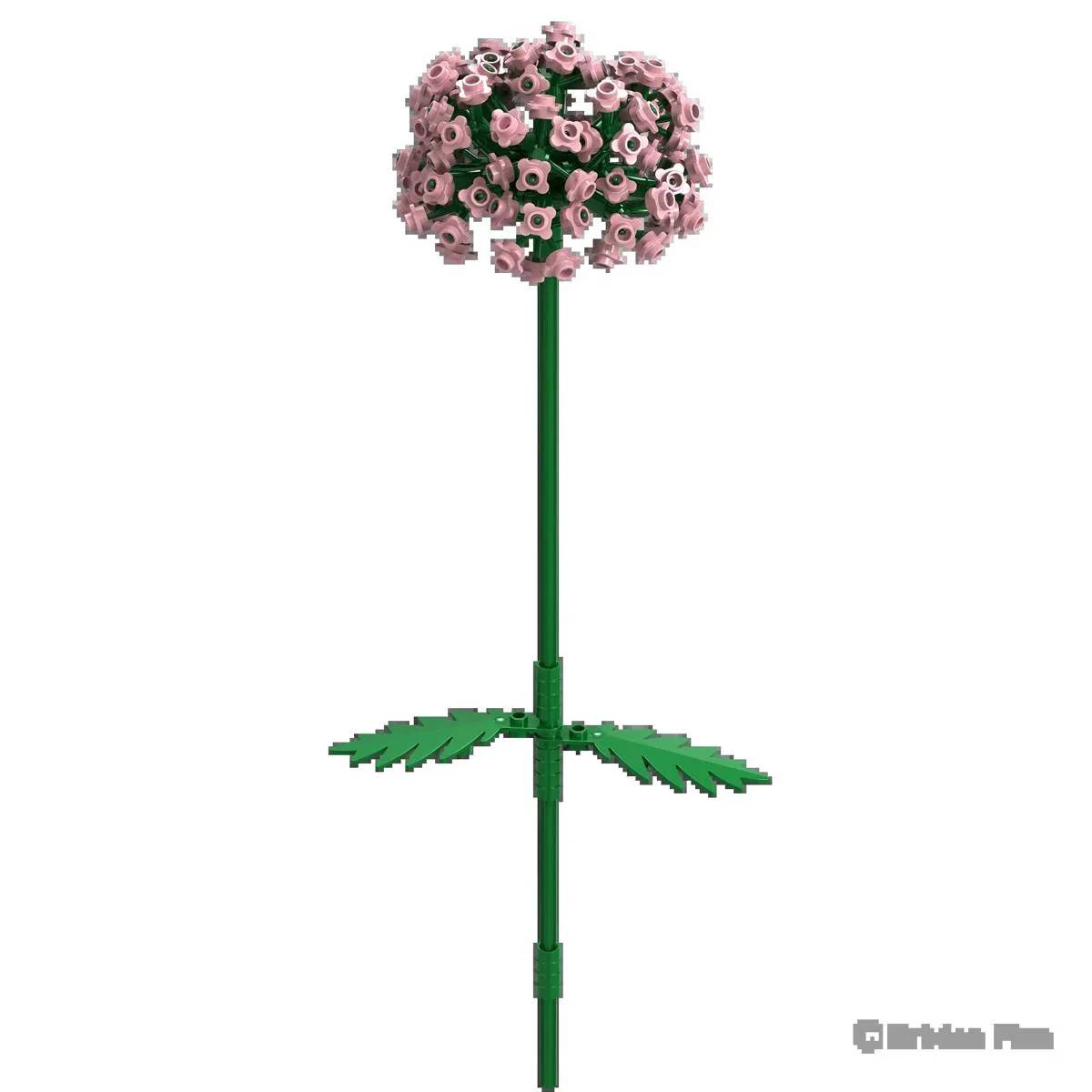 BRIXIES Fleurs Allium (BRIXIES-222.117) - prix | Brick Broker