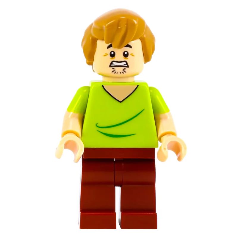 Shaggy Rogers with Closed Mouth — dans quels sets LEGO ? (fig-001422) | Brick Broker