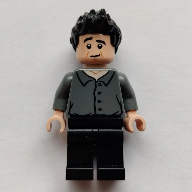 Ross Geller — dans quels sets LEGO ? (fig-011446) | Brick Broker