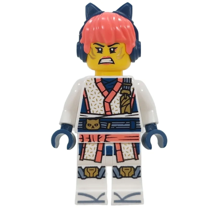 Sora (Draconus Robes) — dans quels sets LEGO ? (fig-017645) | Brick Broker