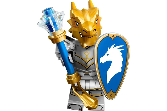 LEGO 71047 Paladin Dragonborn - prix et où acheter | Brick Broker