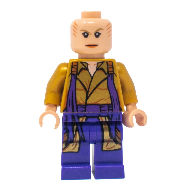 The Ancient One — dans quels sets LEGO ? (fig-005330) | Brick Broker