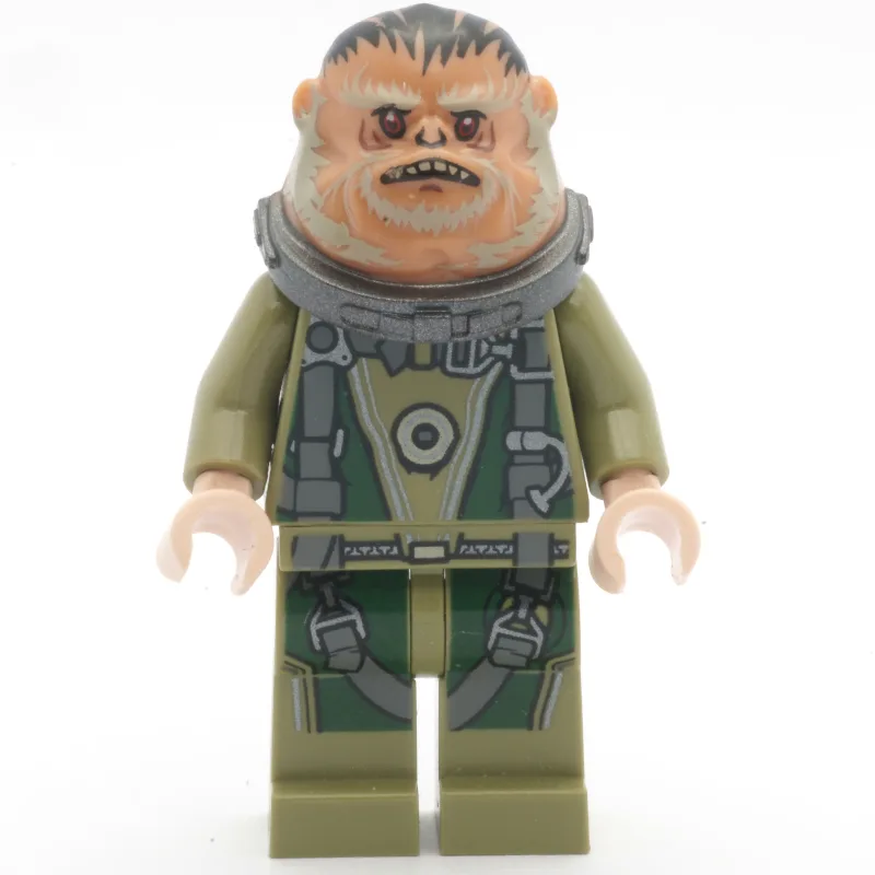 Bistan — dans quels sets LEGO ? (fig-004214) | Brick Broker