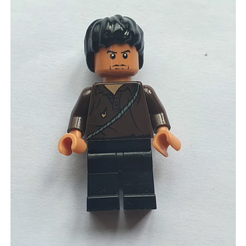 Cemetery Warrior — dans quels sets LEGO ? (fig-005834) | Brick Broker