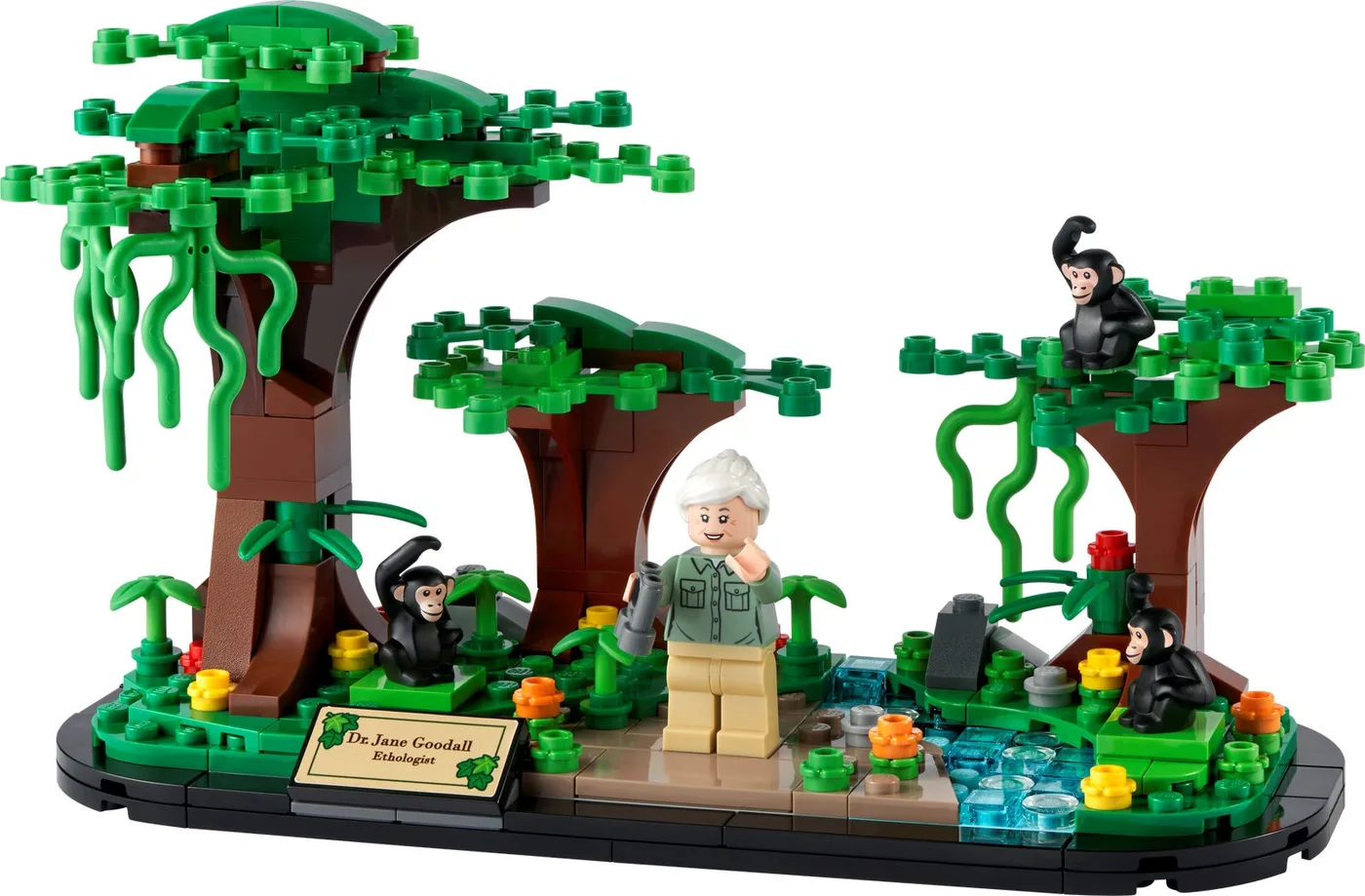 LEGO 40530 Hommage à Jane Goodall - prix | Brick Broker