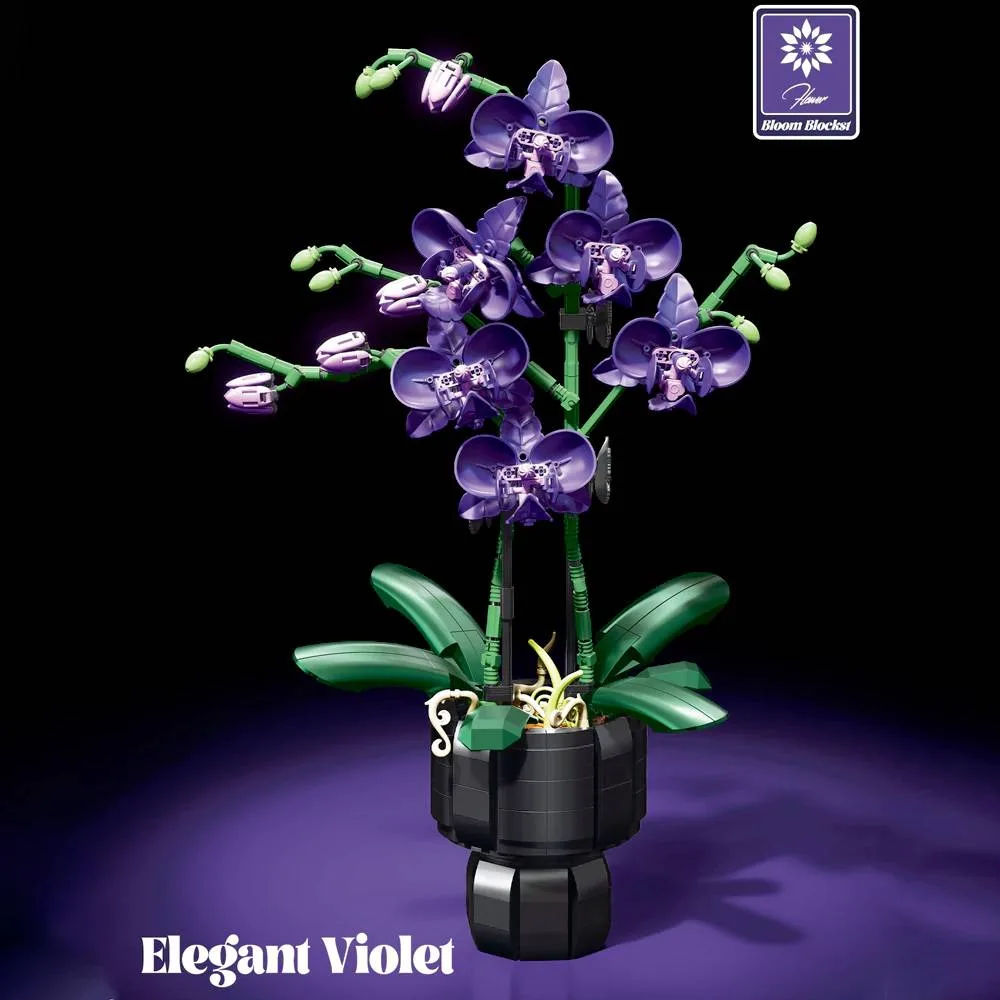 JIESTAR Violette Élégante (JS-JJ9235) - prix | Brick Broker