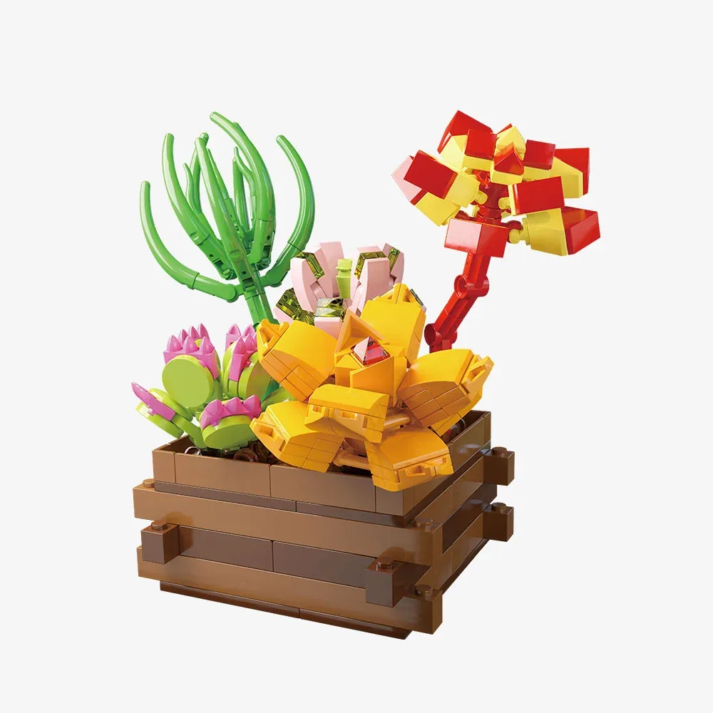 Pantasy Jardin de succulentes - Rosée d'été (PANT-15102) - prix | Brick Broker