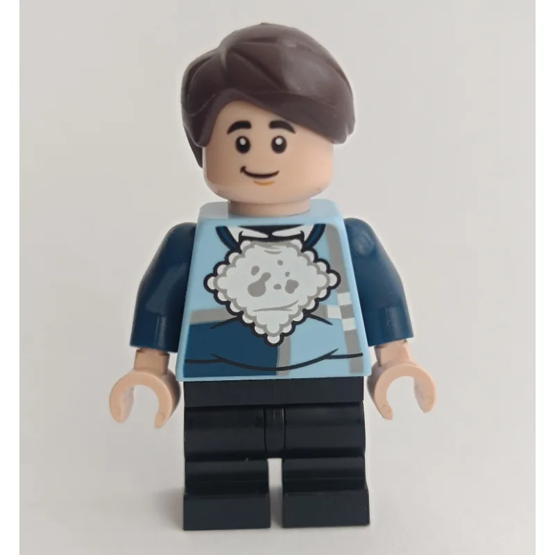 Dudley Dursley, Napkin — dans quels sets LEGO ? (fig-016479) | Brick Broker