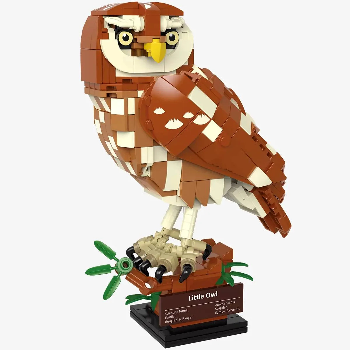 BlueBrixx Petit hibou (BB-107677) - prix | Brick Broker