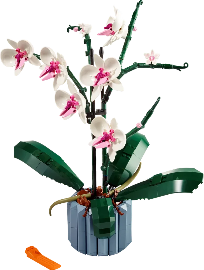 LEGO 10311 Orchidée - prix et où acheter | Brick Broker