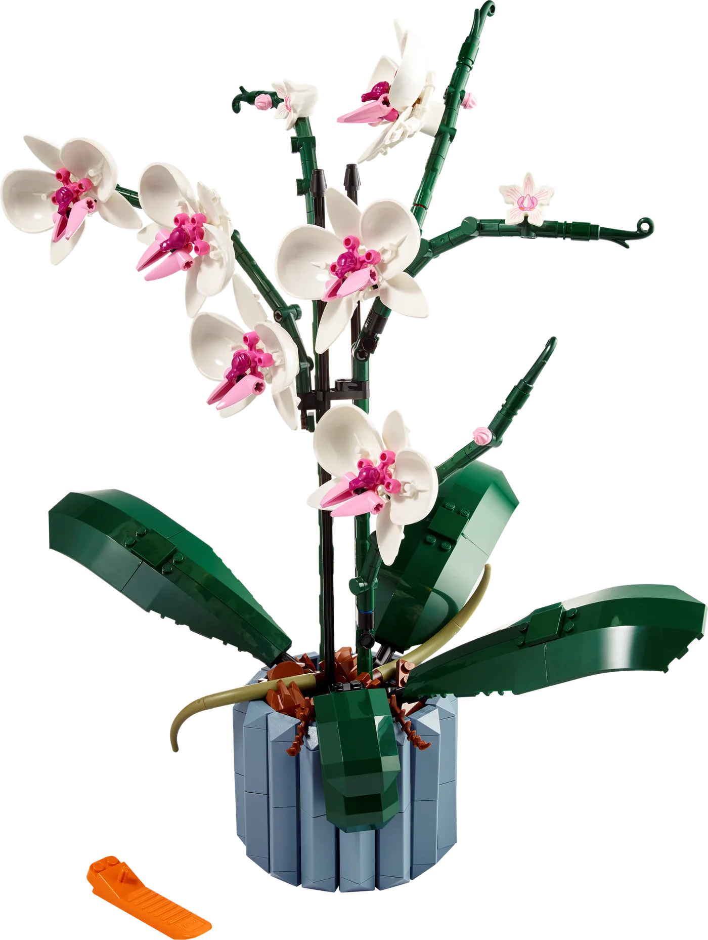 LEGO 10311 Orchidée - prix et où acheter | Brick Broker