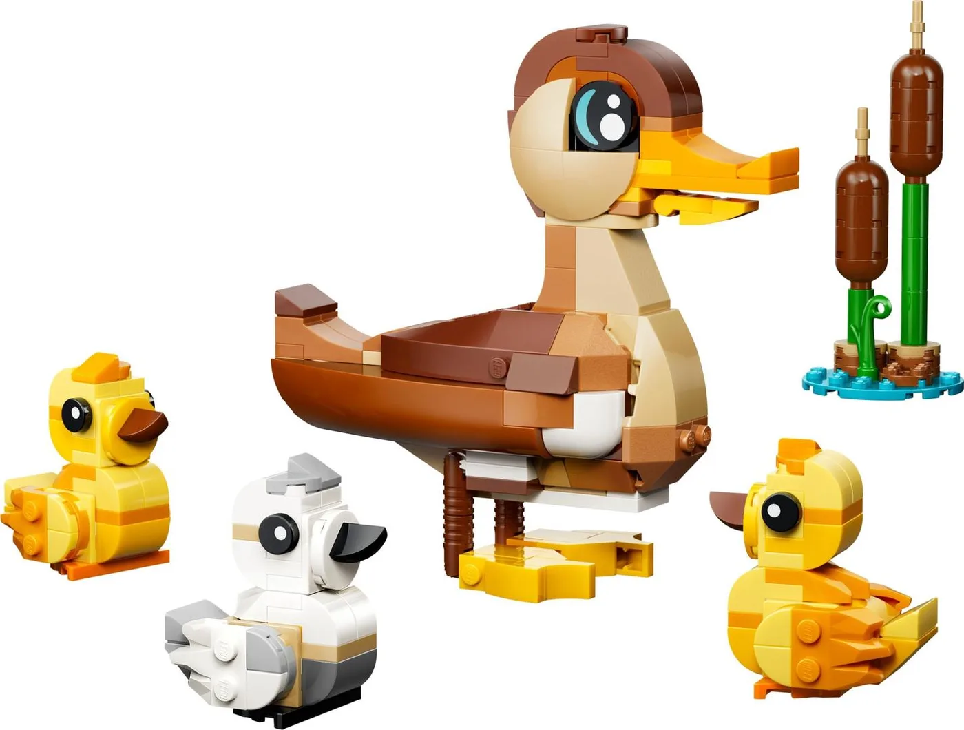 LEGO 40885 Famille de Canards - prix et où acheter | Brick Broker