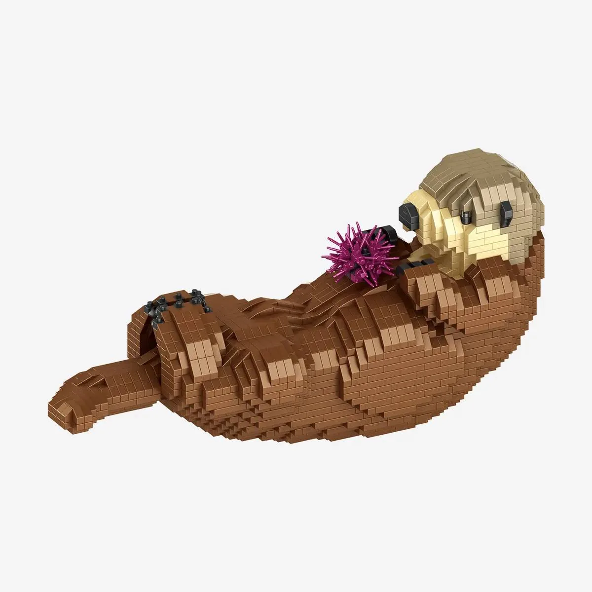 BlueBrixx Loutre de Mer (BB-109086) - prix | Brick Broker