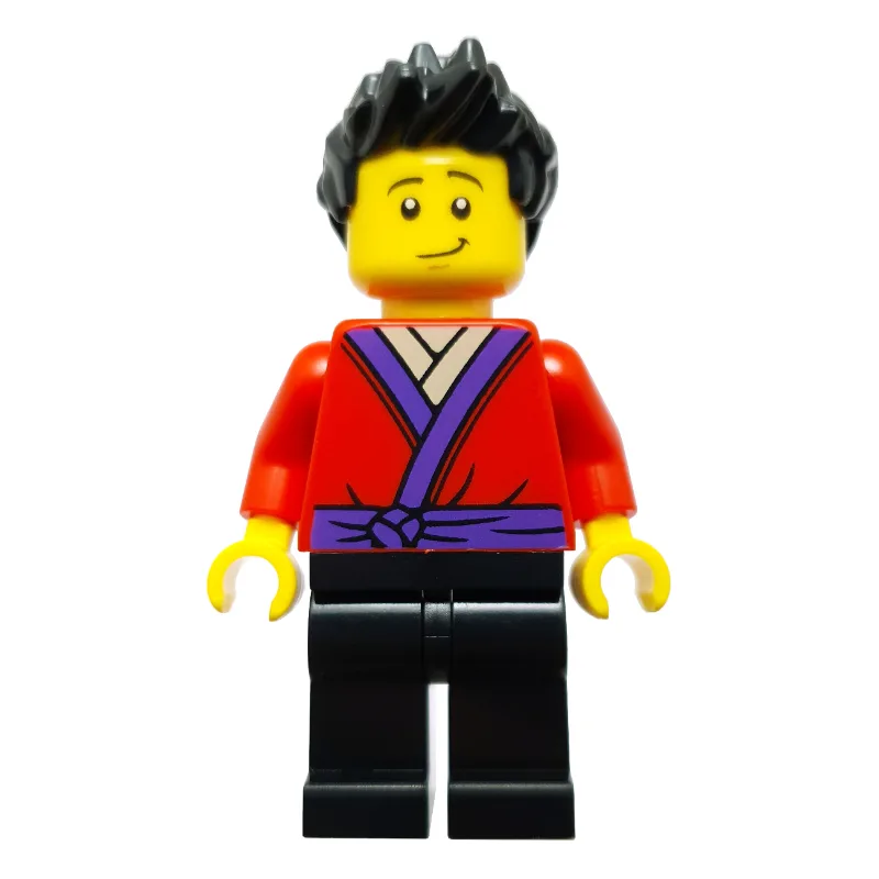Roby — dans quels sets LEGO ? (fig-015177) | Brick Broker