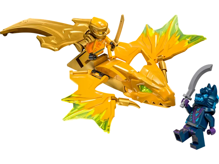 LEGO 71803 L'Attaque du dragon ascendant d'Arin - prix | Brick Broker