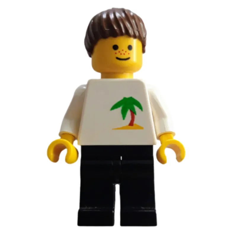 White Torso, Black Legs, Brown Hair — dans quels sets LEGO ? (fig-010665) | Brick Broker