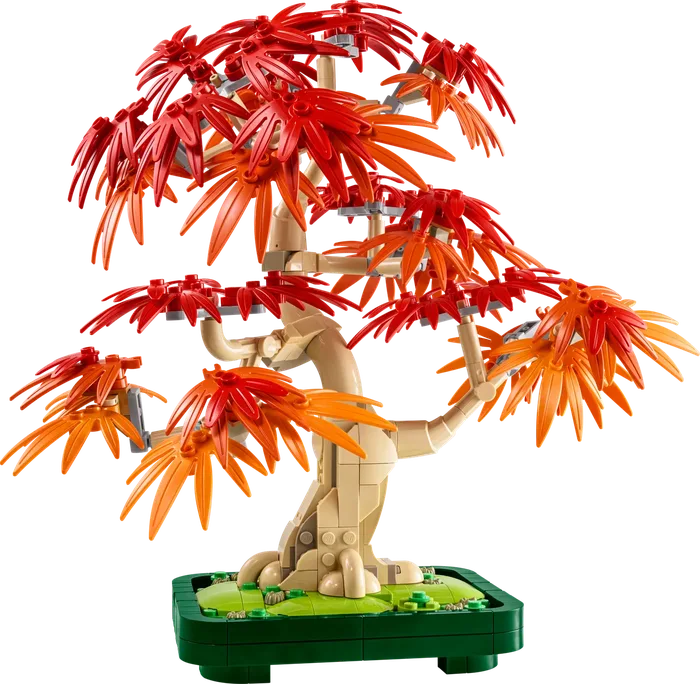 LEGO 10348 Bonsaï d'Érable Rouge Japonais - prix | Brick Broker