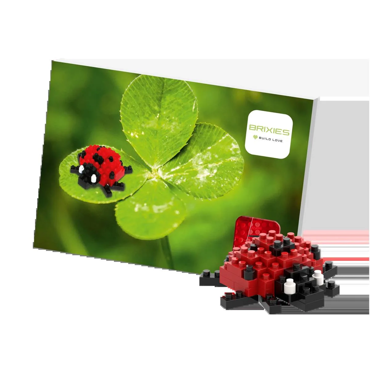 BRIXIES Carte postale - Coccinelle (BRIXIES-220.019) - prix | Brick Broker