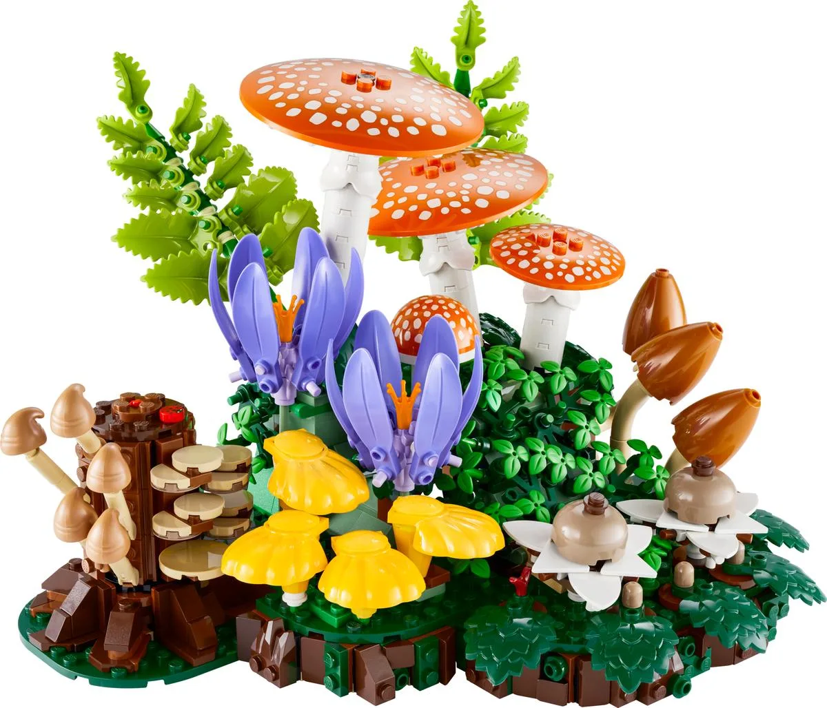 LEGO 11505 Champignons forestiers - prix | Brick Broker