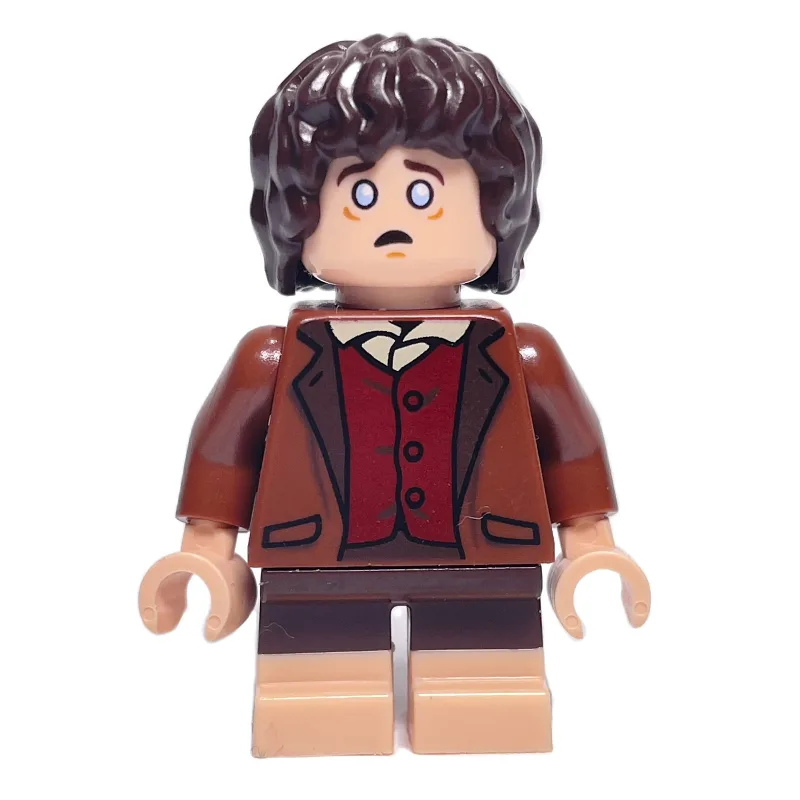 Frodo Baggins — dans quels sets LEGO ? (fig-015131) | Brick Broker