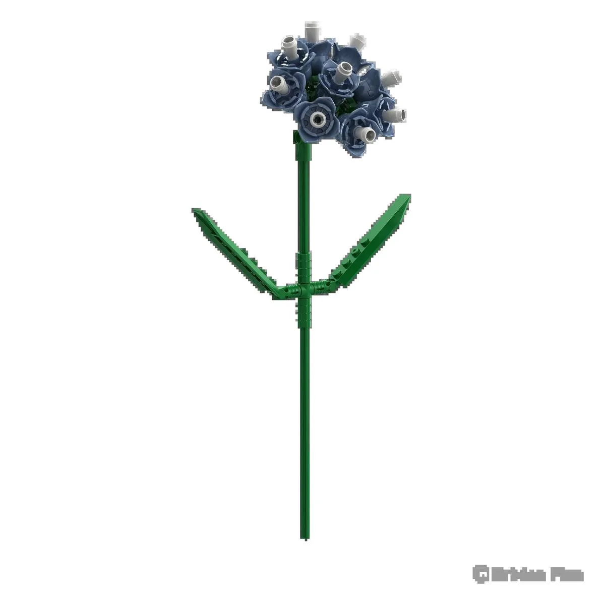 BRIXIES Fleurs de statice (BRIXIES-222.147) - prix | Brick Broker