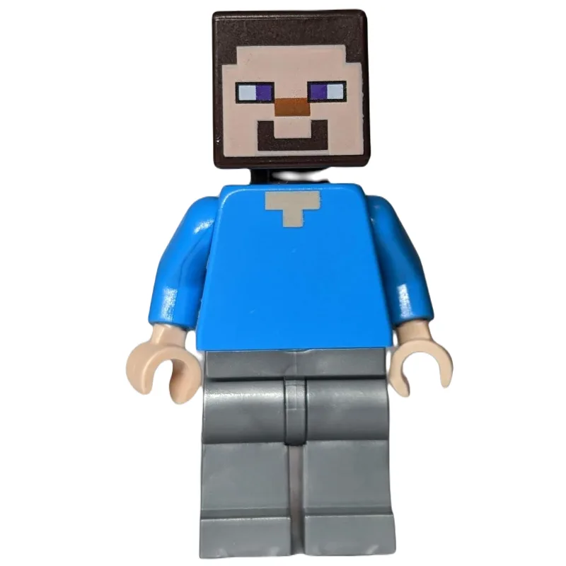 Steve with Flat Silver Legs — dans quels sets LEGO ? (fig-006503) | Brick Broker