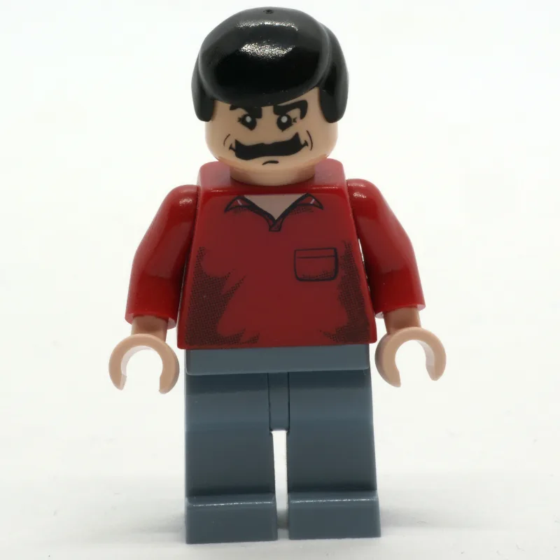 Pops Racer — dans quels sets LEGO ? (fig-006703) | Brick Broker