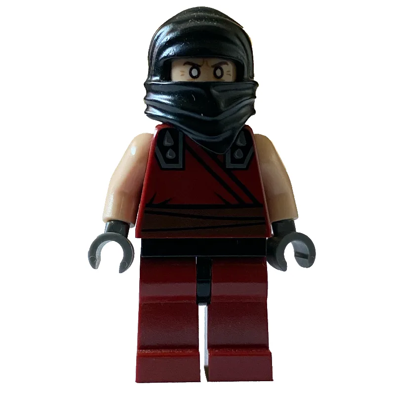 Dark Ninja — dans quels sets LEGO ? (fig-003365) | Brick Broker