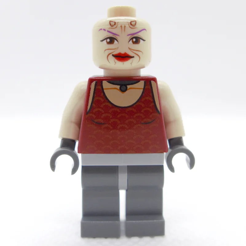 Sugi — dans quels sets LEGO ? (fig-003790) | Brick Broker
