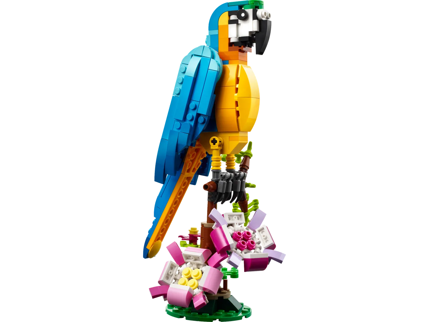 LEGO 31136 Perroquet exotique - prix et où acheter | Brick Broker