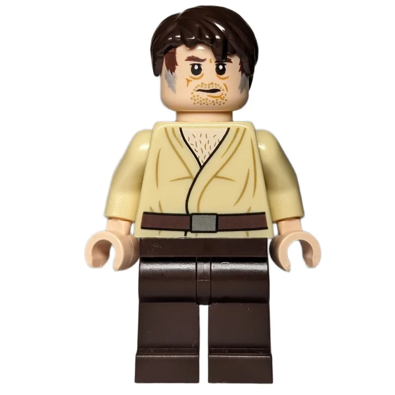 Wuher — dans quels sets LEGO ? (fig-004312) | Brick Broker