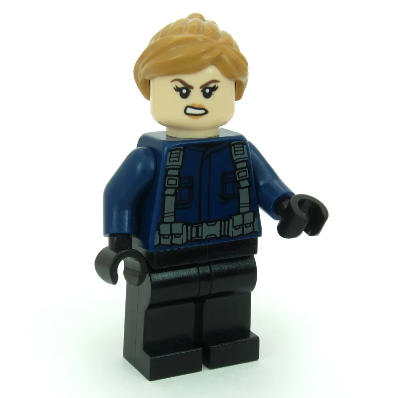 Guard — dans quels sets LEGO ? (fig-012501) | Brick Broker