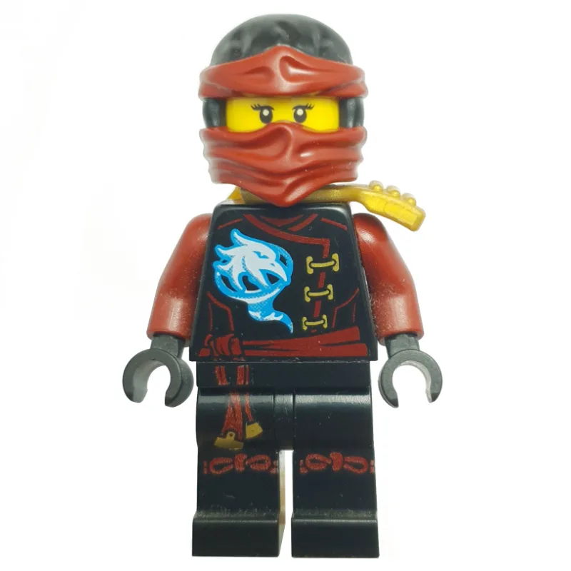 Nya (Skybound) — dans quels sets LEGO ? (fig-002768) | Brick Broker