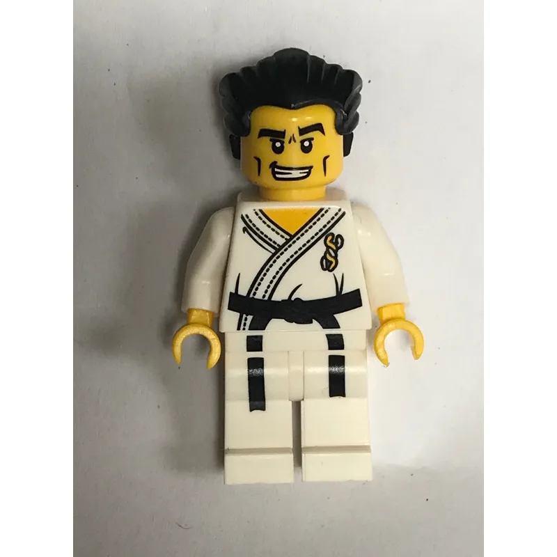 Karate Master — dans quels sets LEGO ? (fig-000905) | Brick Broker