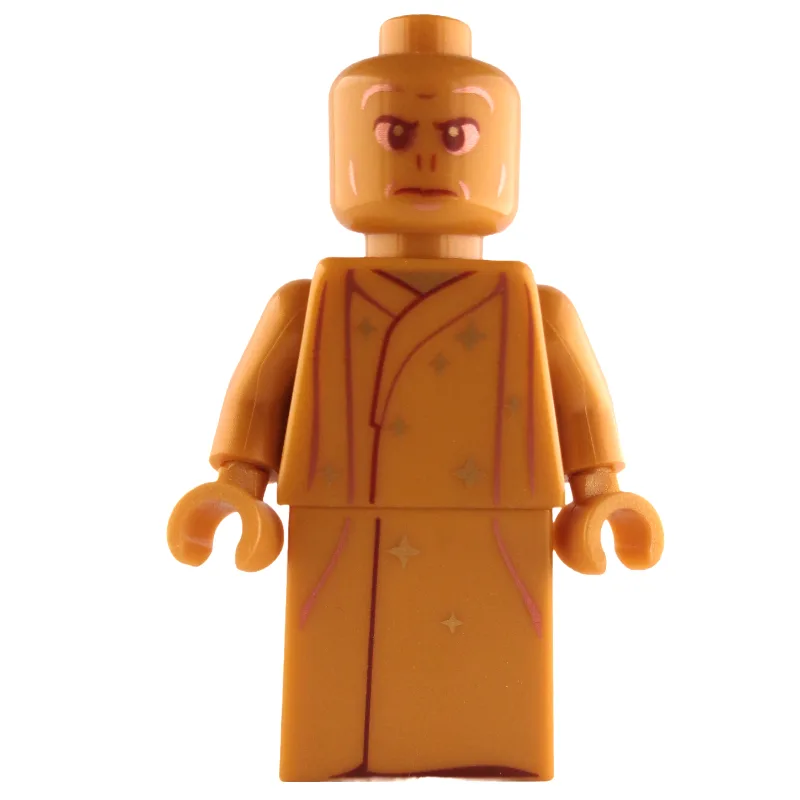 Voldemort, Gold — dans quels sets LEGO ? (fig-011369) | Brick Broker