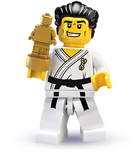 LEGO 8684 Maître de karaté - prix et où acheter | Brick Broker