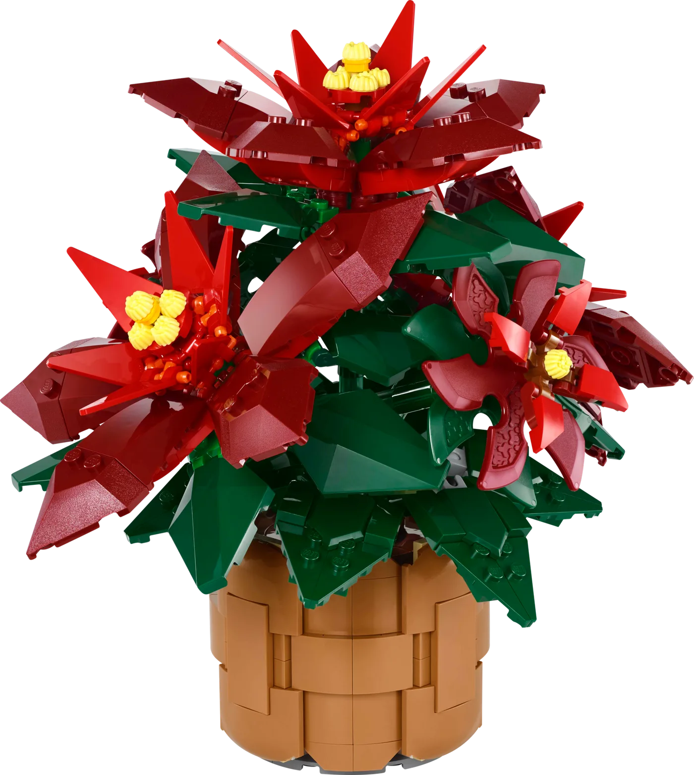 LEGO 10370 Poinsettia - prix et où acheter | Brick Broker