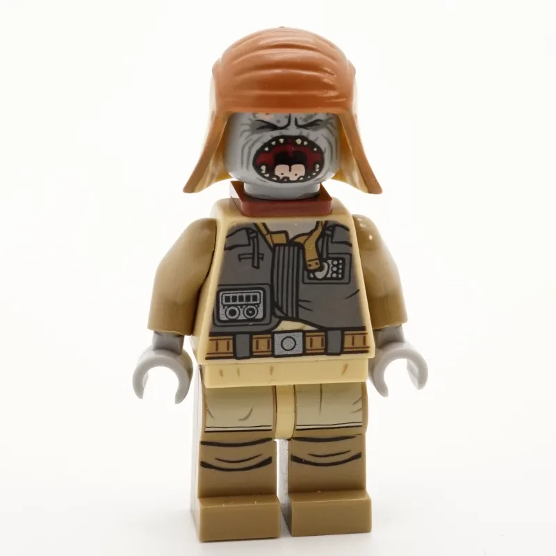 Pao — dans quels sets LEGO ? (fig-004213) | Brick Broker
