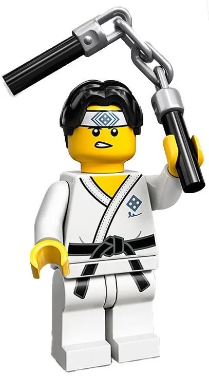 LEGO 71027 Garçon des arts martiaux - prix | Brick Broker