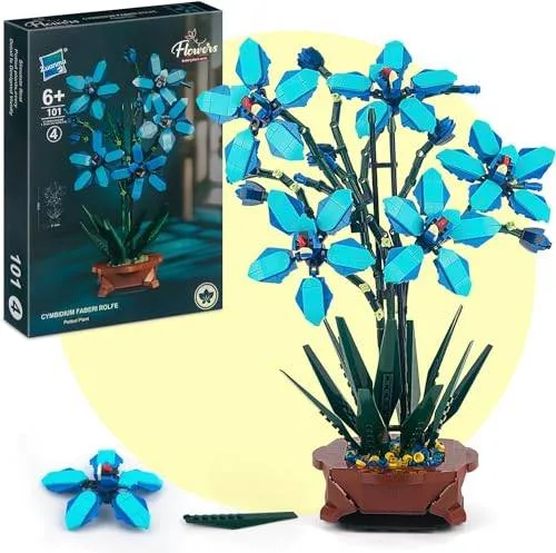 Zuanma Cymbidium faberi Rolfe (ZUA-101-4) - prix | Brick Broker