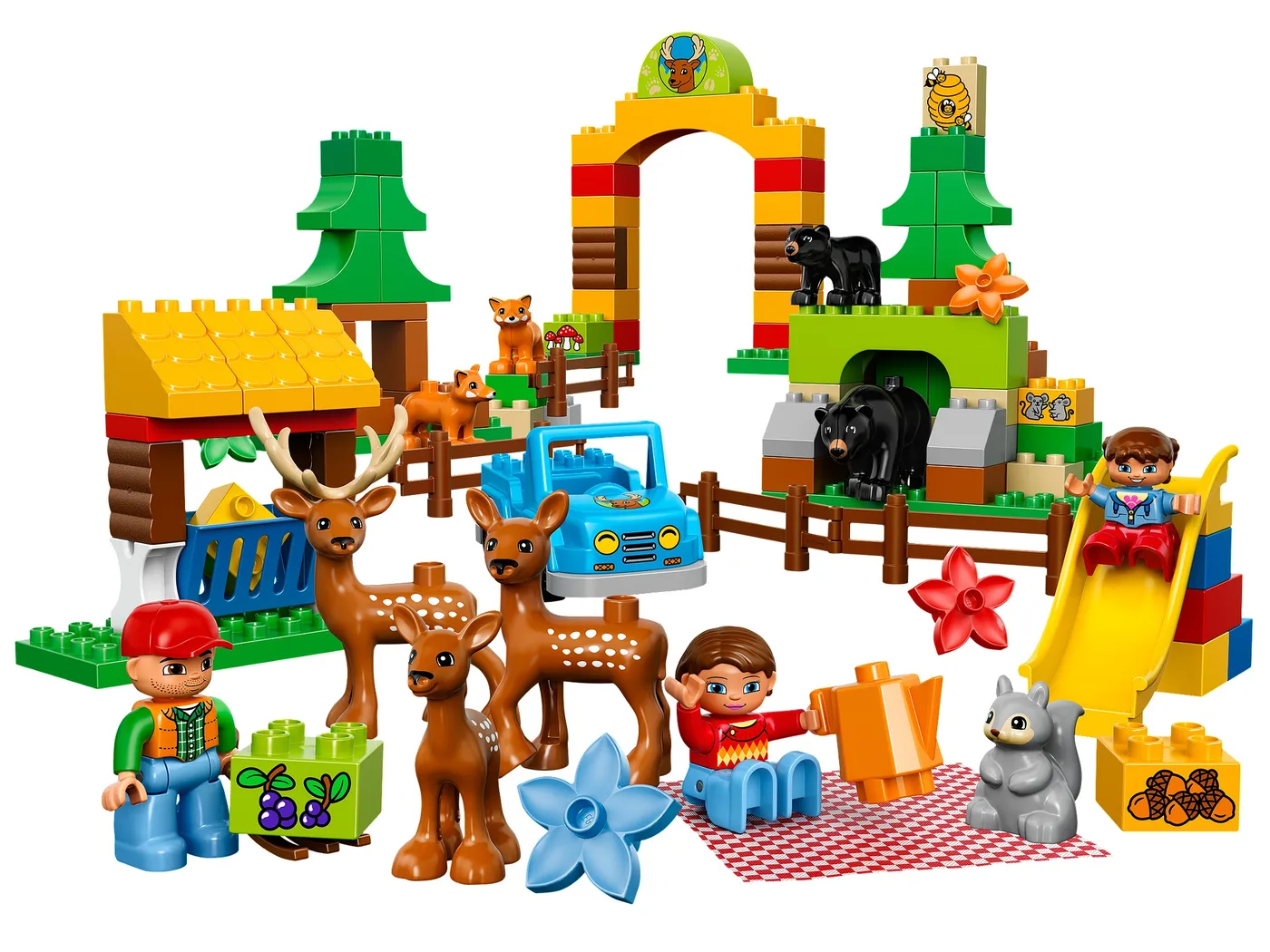 LEGO 10584 Forêt : Parc - prix et où acheter | Brick Broker