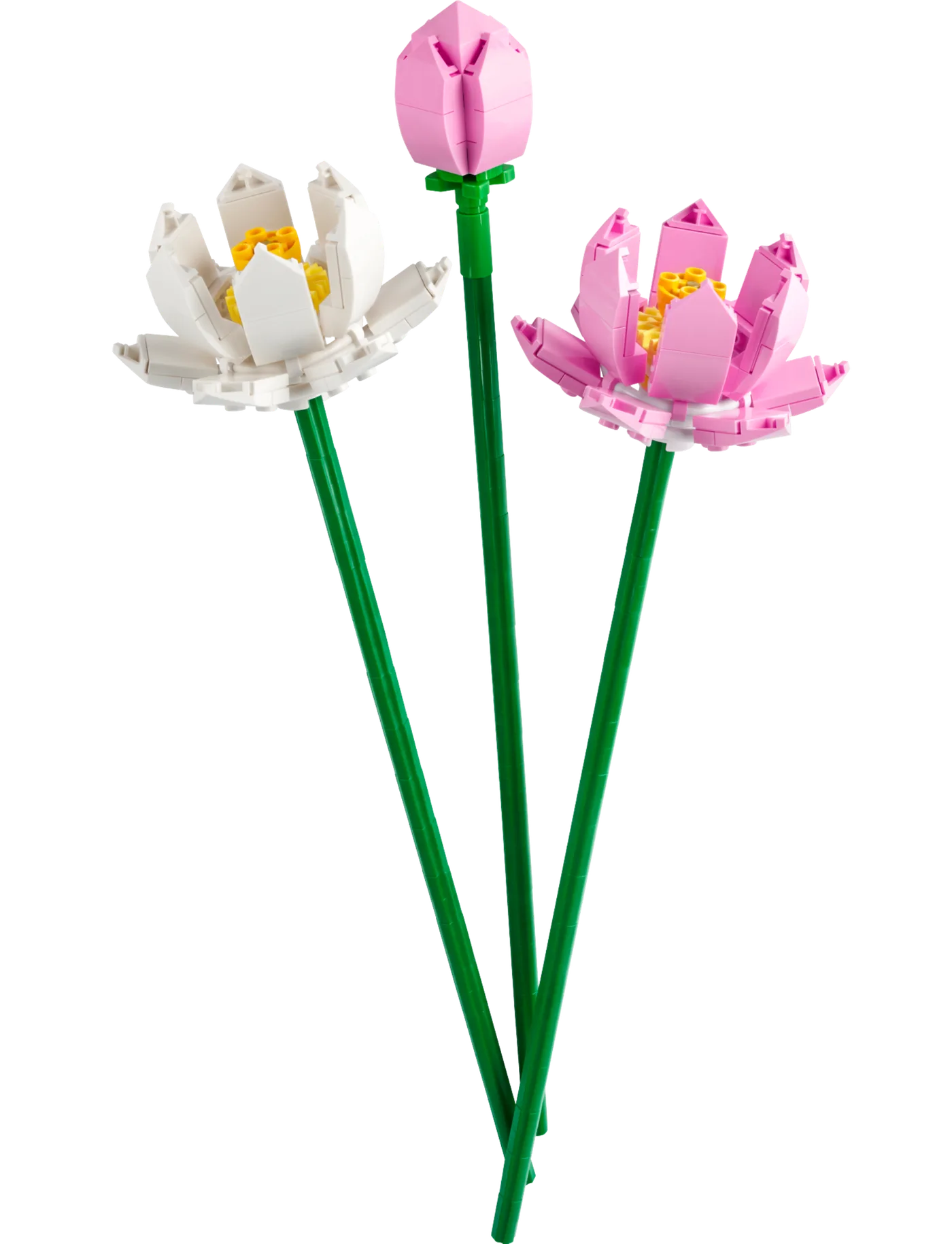 LEGO 40647 Fleurs de lotus - prix et où acheter | Brick Broker