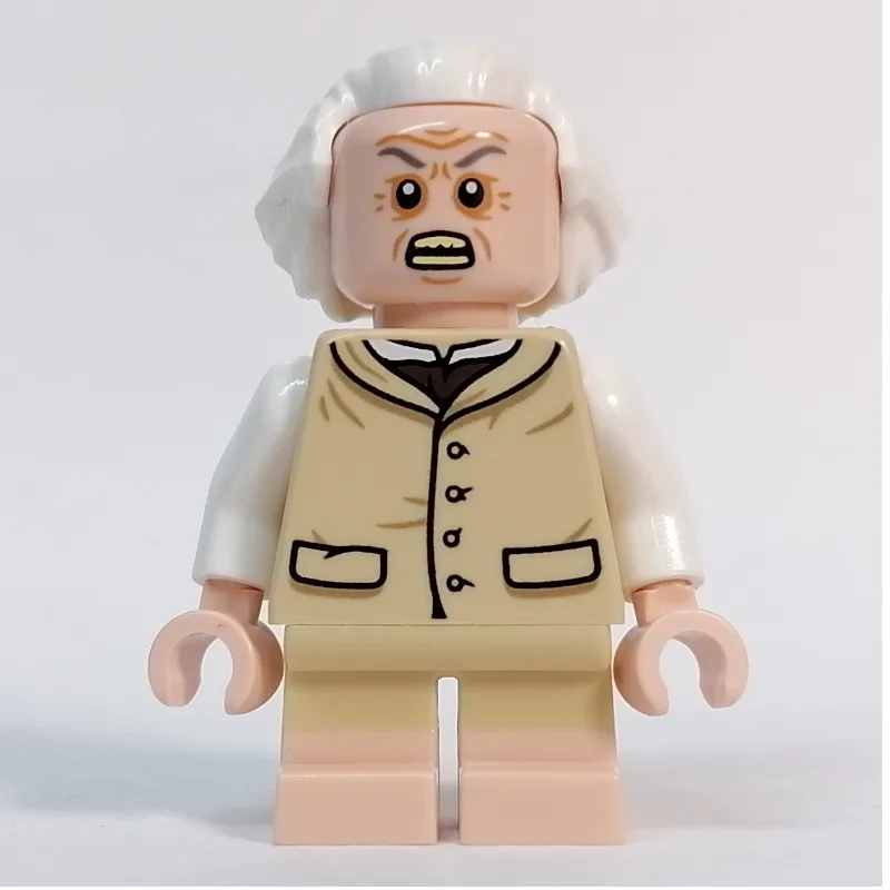 Bilbo Baggins - White Hair — dans quels sets LEGO ? (fig-013600) | Brick Broker