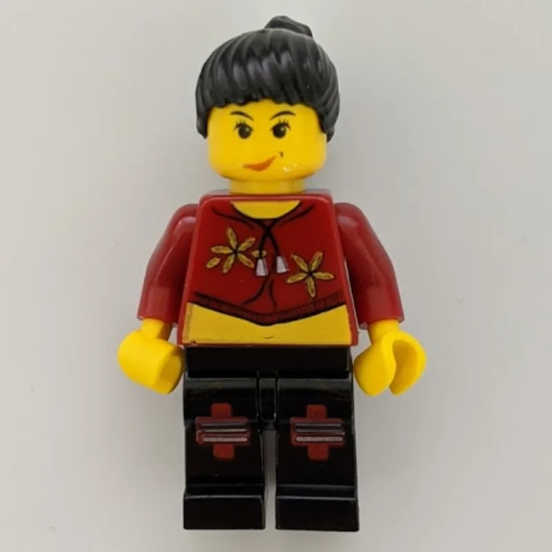 Sky Lane — dans quels sets LEGO ? (fig-006430) | Brick Broker