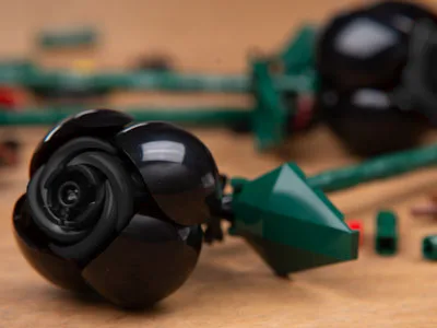 LEGO 2 Roses Noires (EG00151-1) - prix et où acheter | Brick Broker