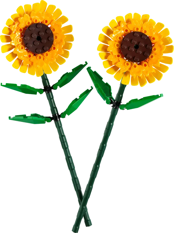 LEGO 40524 Tournesols - prix et où acheter | Brick Broker